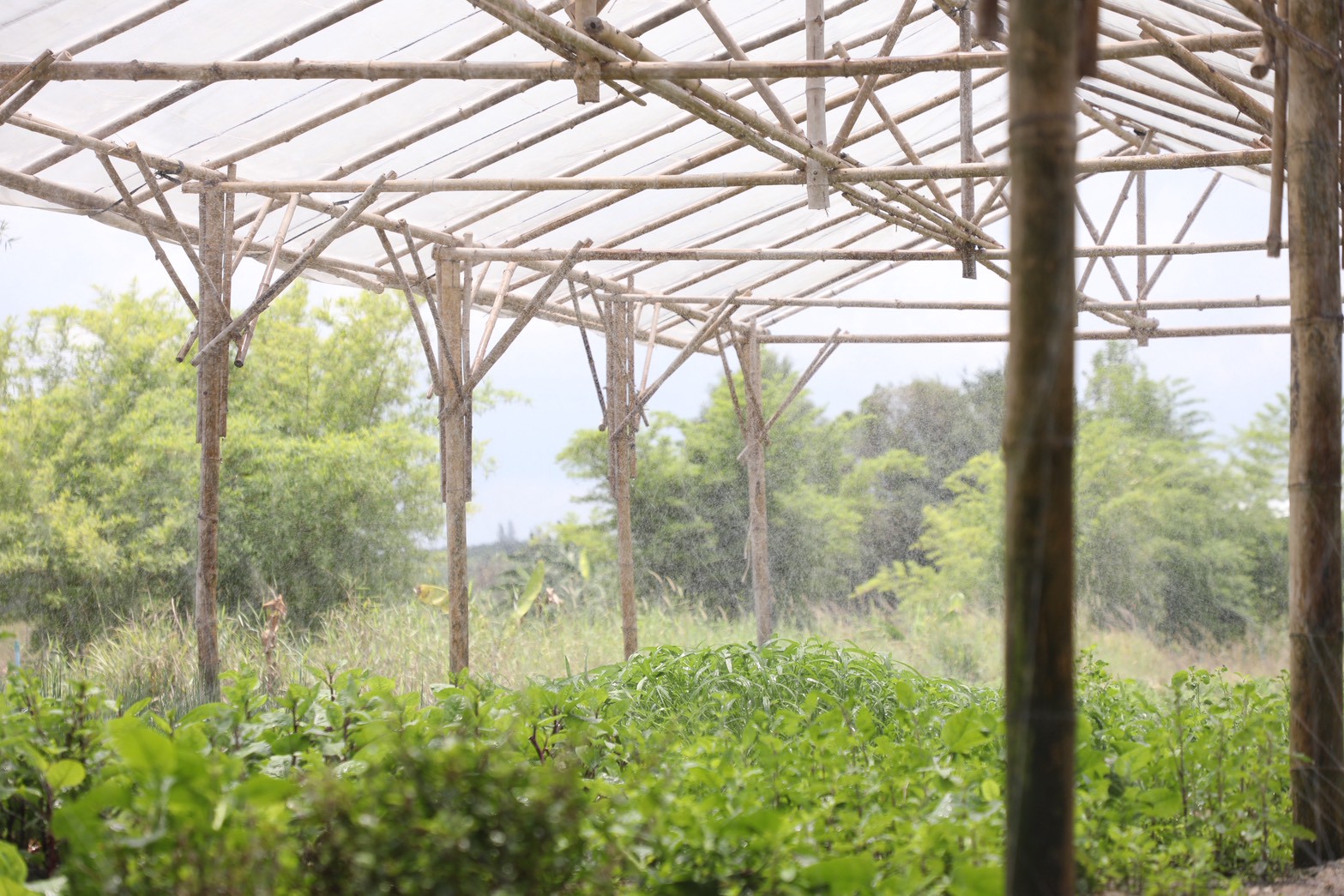 title - ส.ป.ก. ส่งมอบโครงการ “โครงการนำร่องระบบสูบน้ำ พลังงานแสงอาทิตย์เพื่อการเกษตรในเขตปฏิรูปที่ดิน” (Pilot Solar Pumping System for Agiculture in ALRO Area)